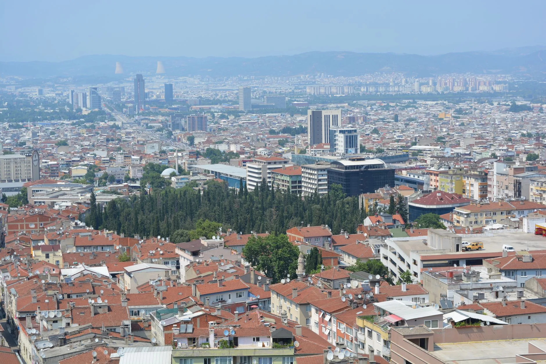 Bursa