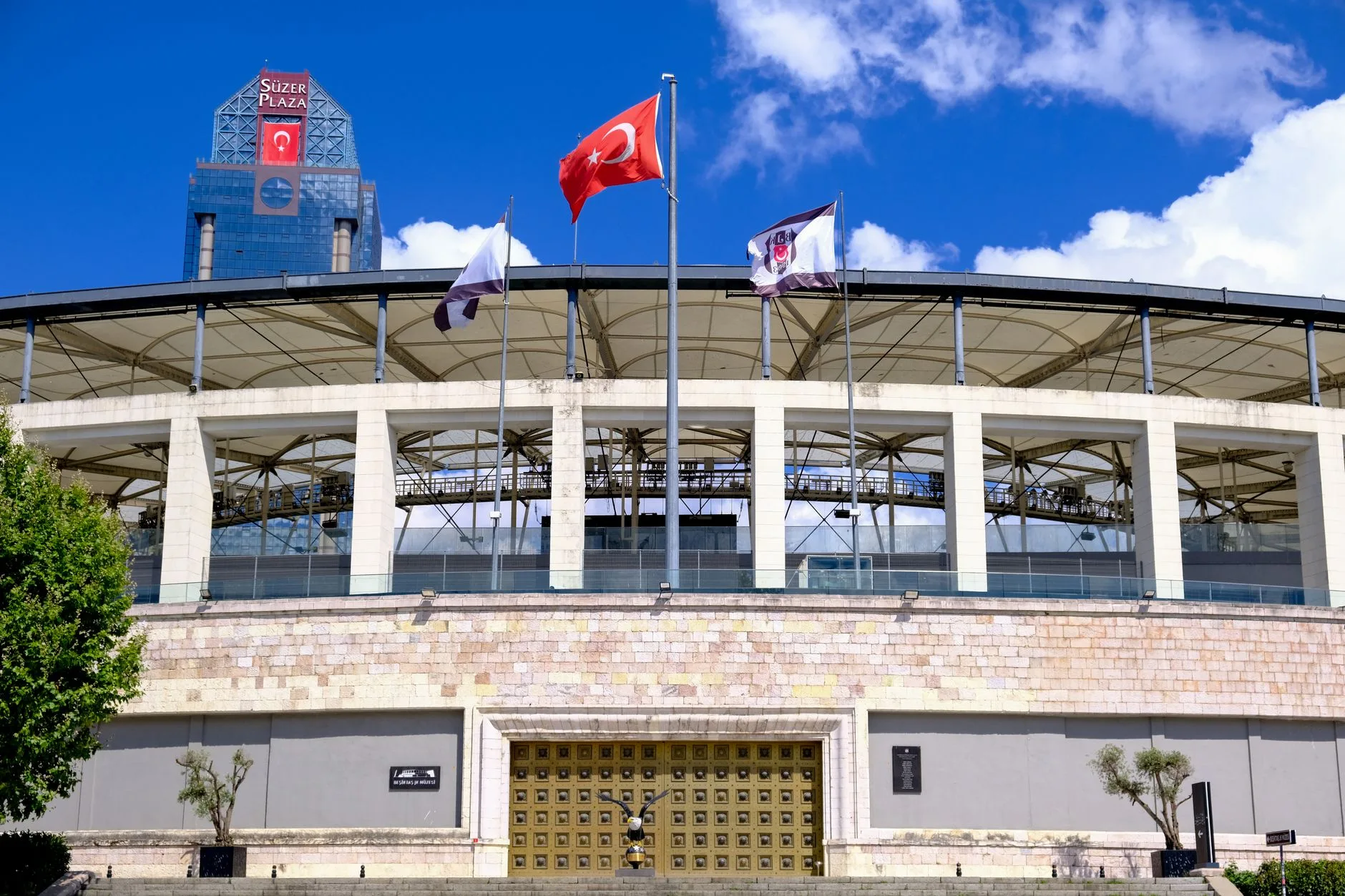 Tüpraş Stadium (Beşiktaş Park)